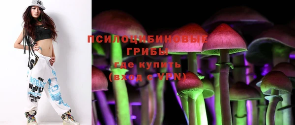 крисы Вяземский