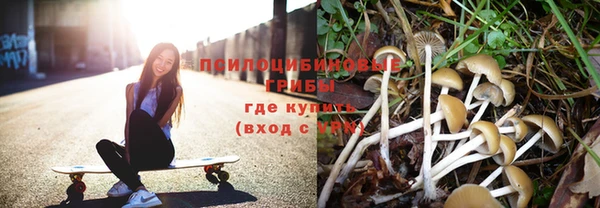 крисы Вяземский