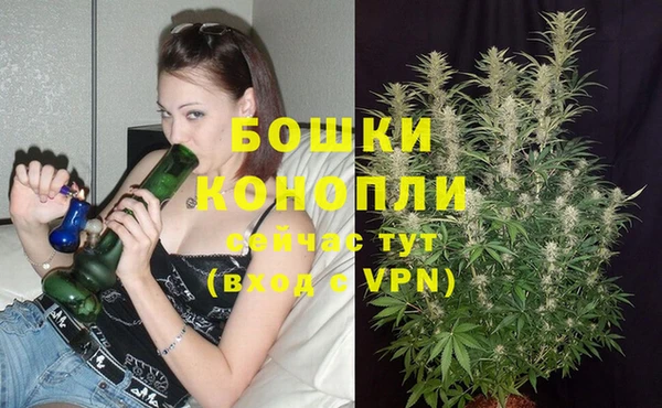 гашик Вязники